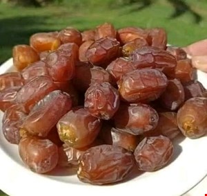 خرما مرداسنگ