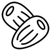 خرما و مشتقات